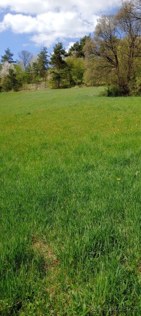 Pronájem pozemek pro bydlení - Letovice, 679 61