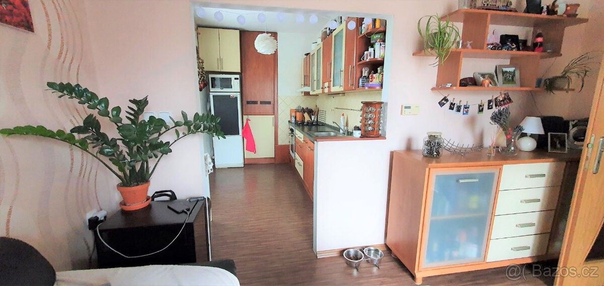 Byt · Jihlava, 586 01 - 3