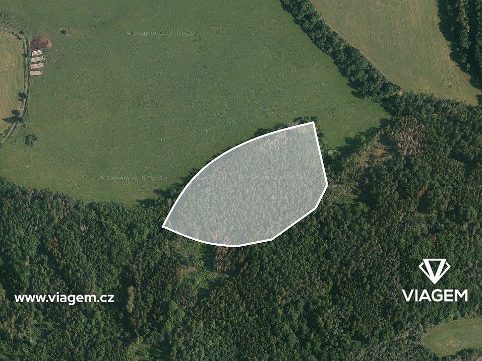 Les · Čím, okres Příbram, Středočeský kraj - 3