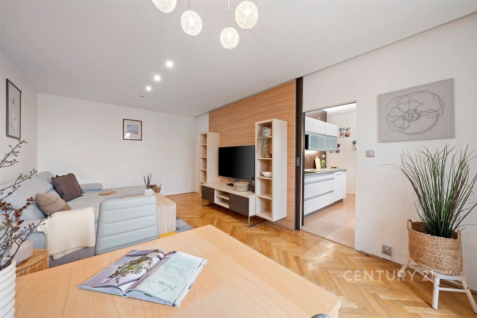 3+1, Lipská, Brno, 76 m²