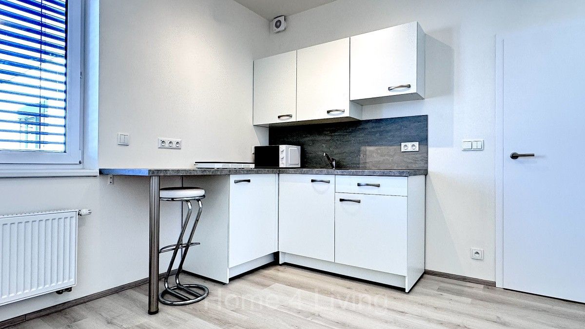 1+kk, Křenová, Brno, 30 m²