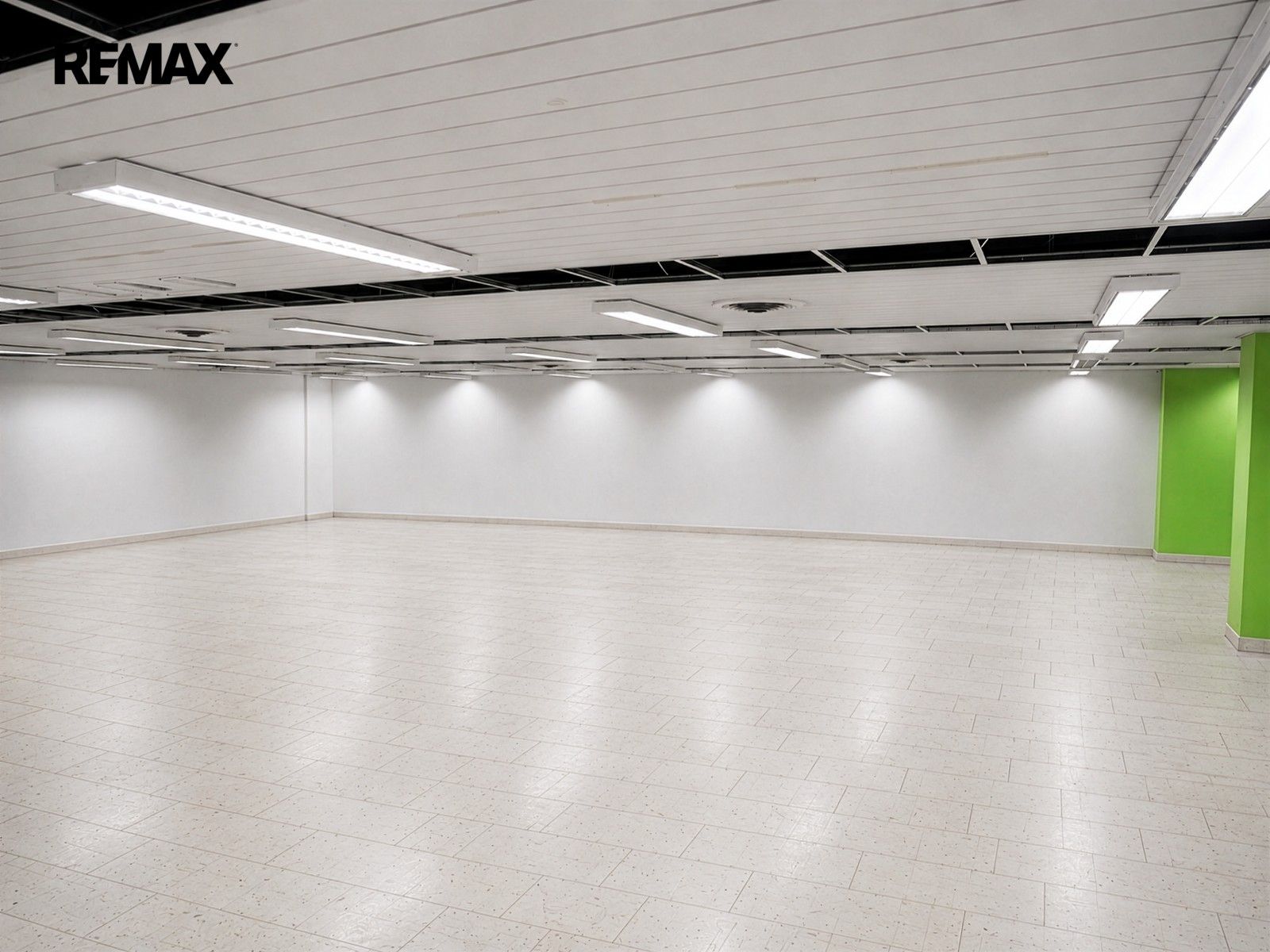 Pronájem obchodní prostory - Gočárova třída 1517, Hradec Králové Pražské Předměstí, 866 m² - 5