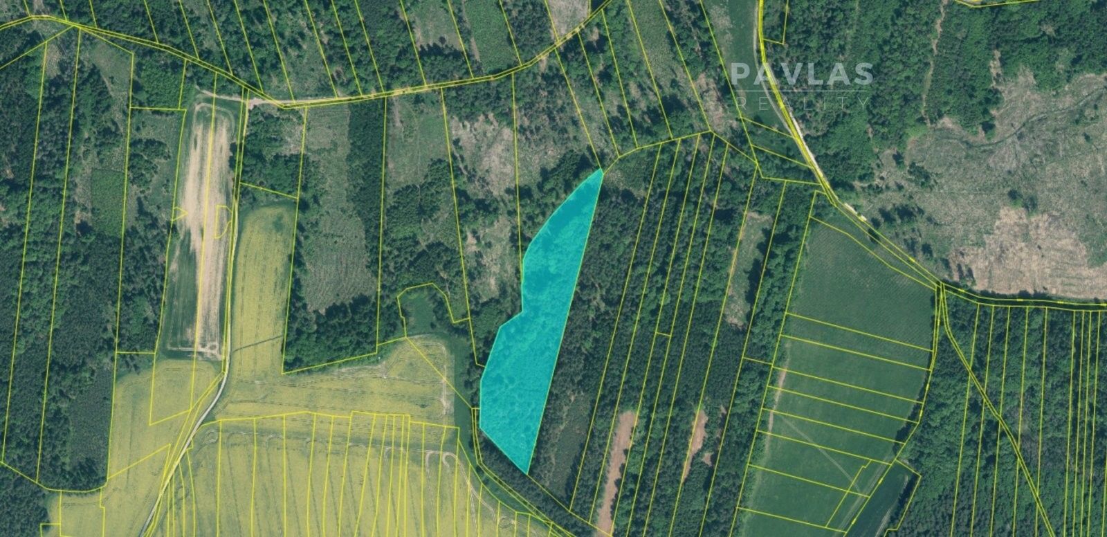 Prodej les - Jetětice, 103 m²