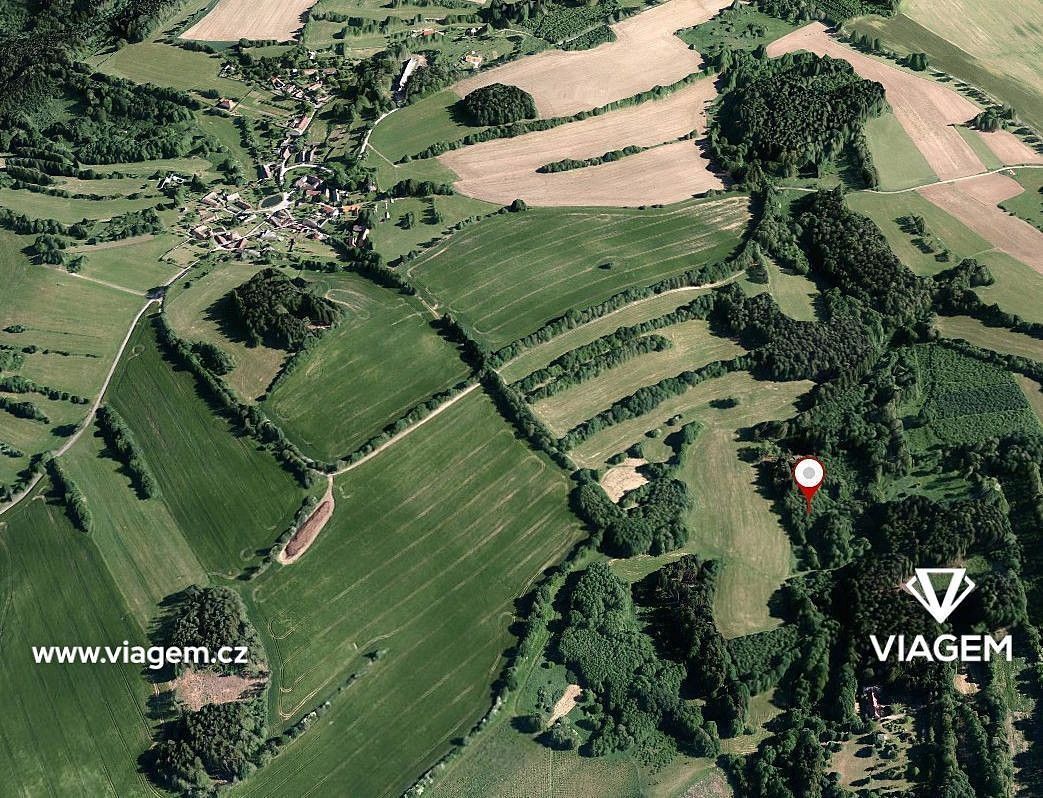 Prodej les - Kaliště, okres Pelhřimov, Kraj Vysočina - 2