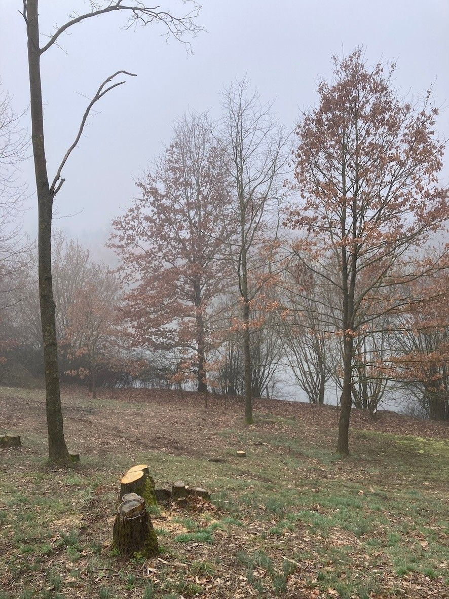 Pozemky pro bydlení, Chřešťovice, 398 17