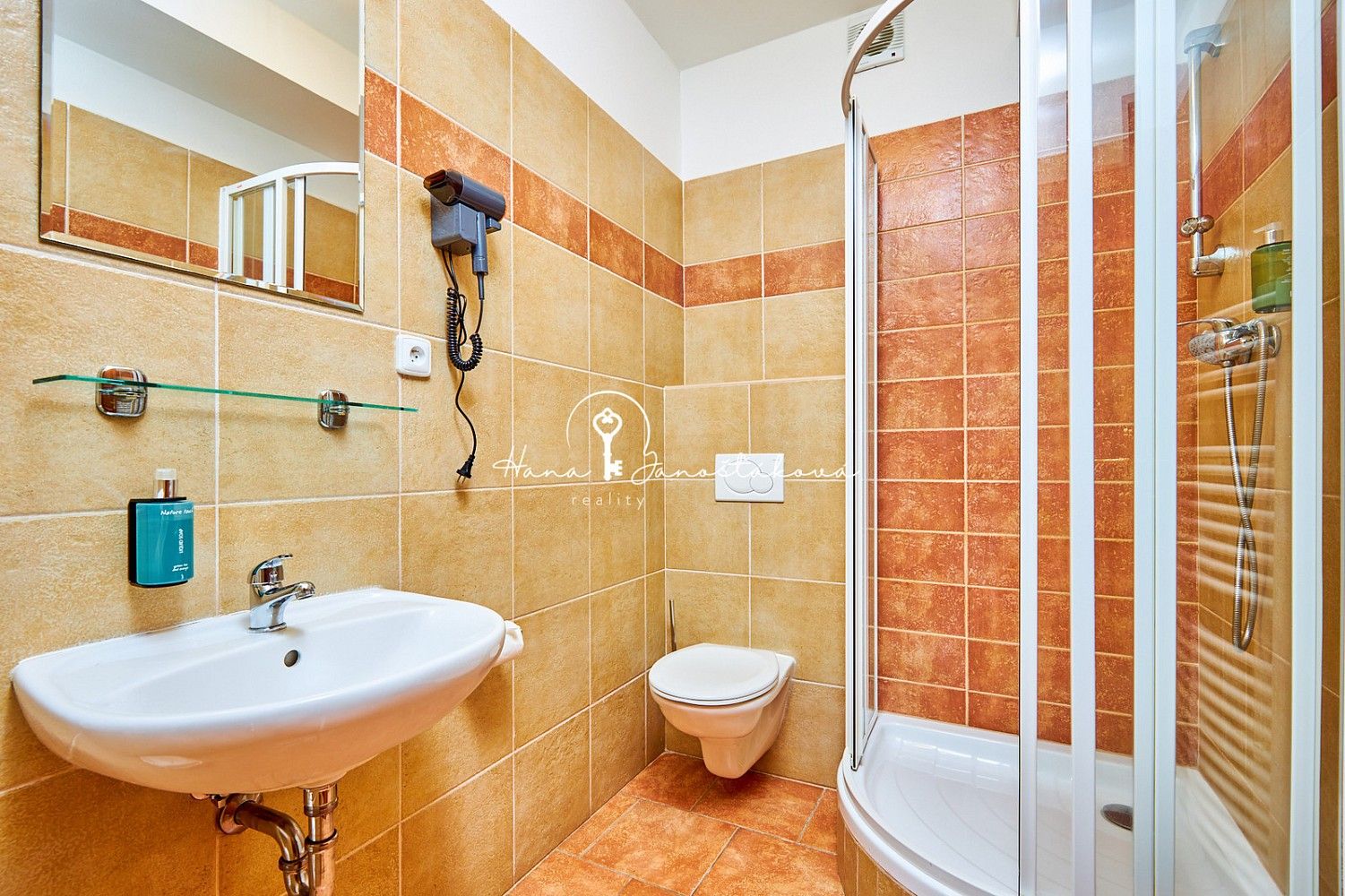Ubytovací zařízení · 270 m² · Rooseveltova, Český Krumlov - Horní Brána - 4
