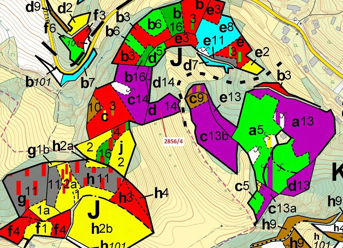 Les · Český Dub, okres Liberec, Liberecký kraj - 3