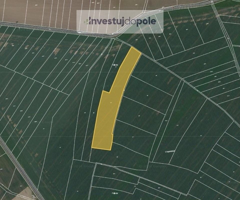 Prodej zemědělský pozemek - Chrast u Chrudimě, 538 51, 15 562 m²