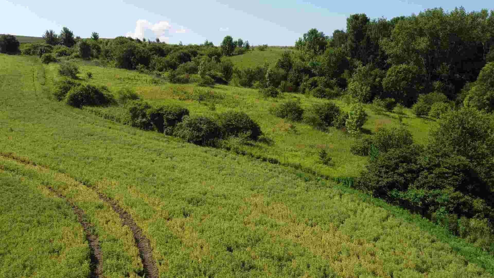 Zemědělský pozemek · 3 134 m² · Bučovice - 3