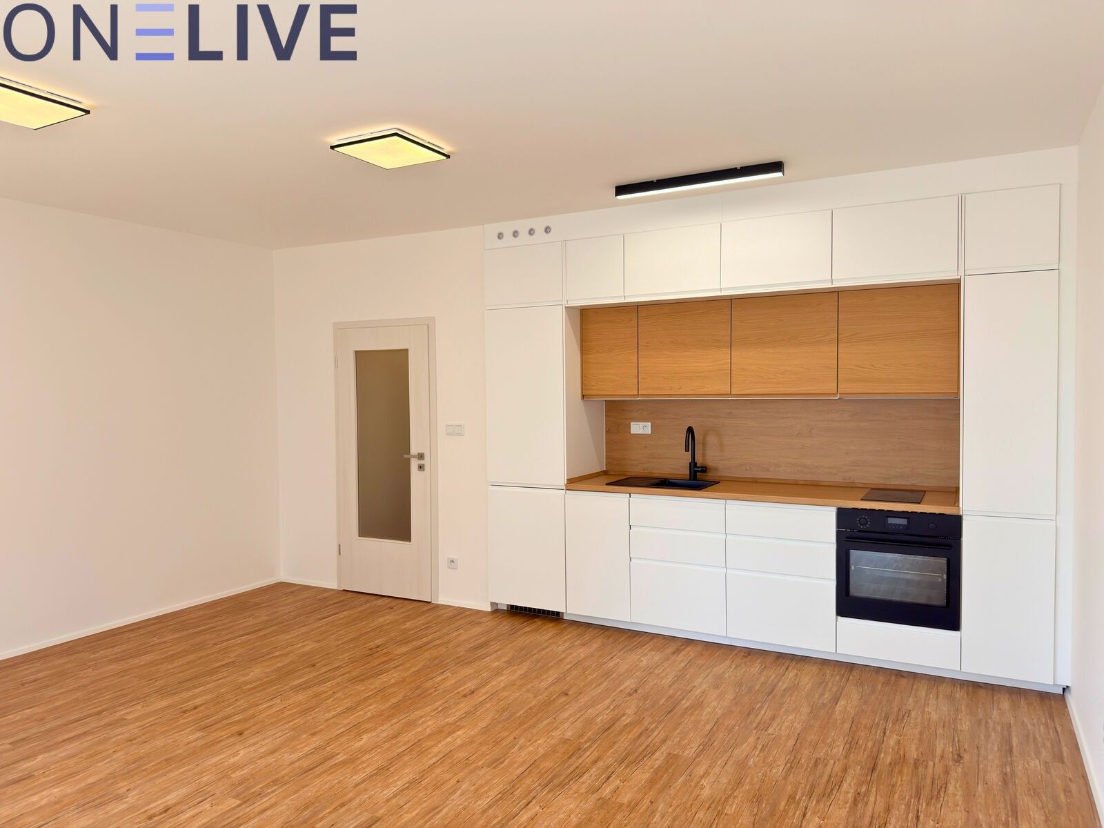 1+kk, Železná, Plzeň Jižní Předměstí, 39 m²