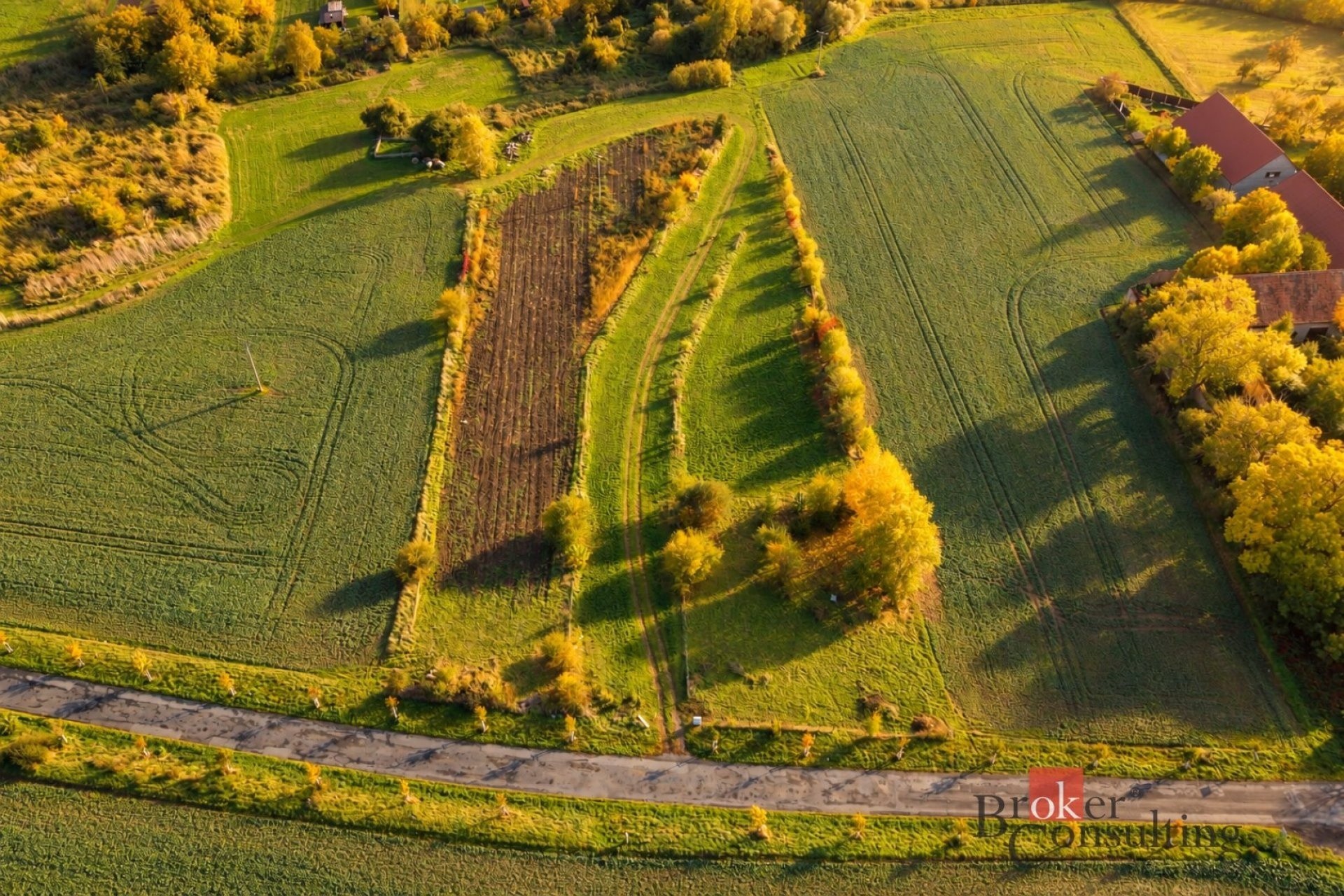 Prodej zahrada - Popovice, Brandýs nad Labem-Stará Boleslav, 10 314 m² - 5