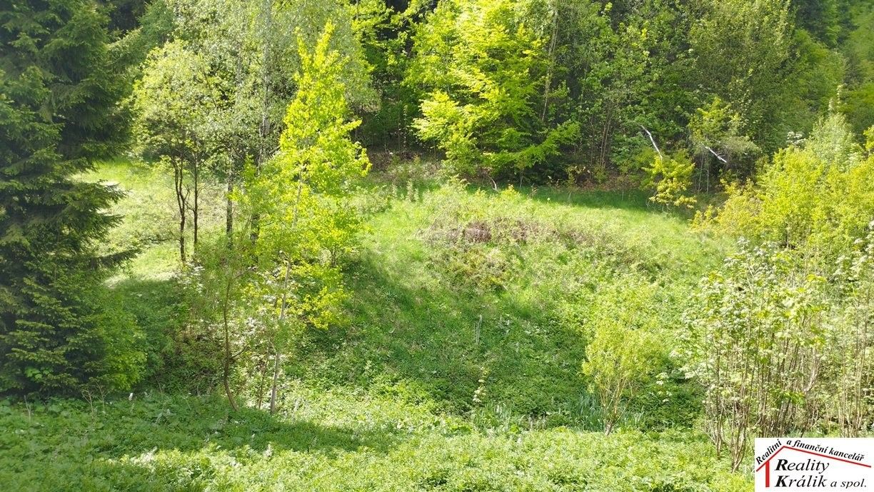 Prodej pozemek pro bydlení - Česká, Tanvald