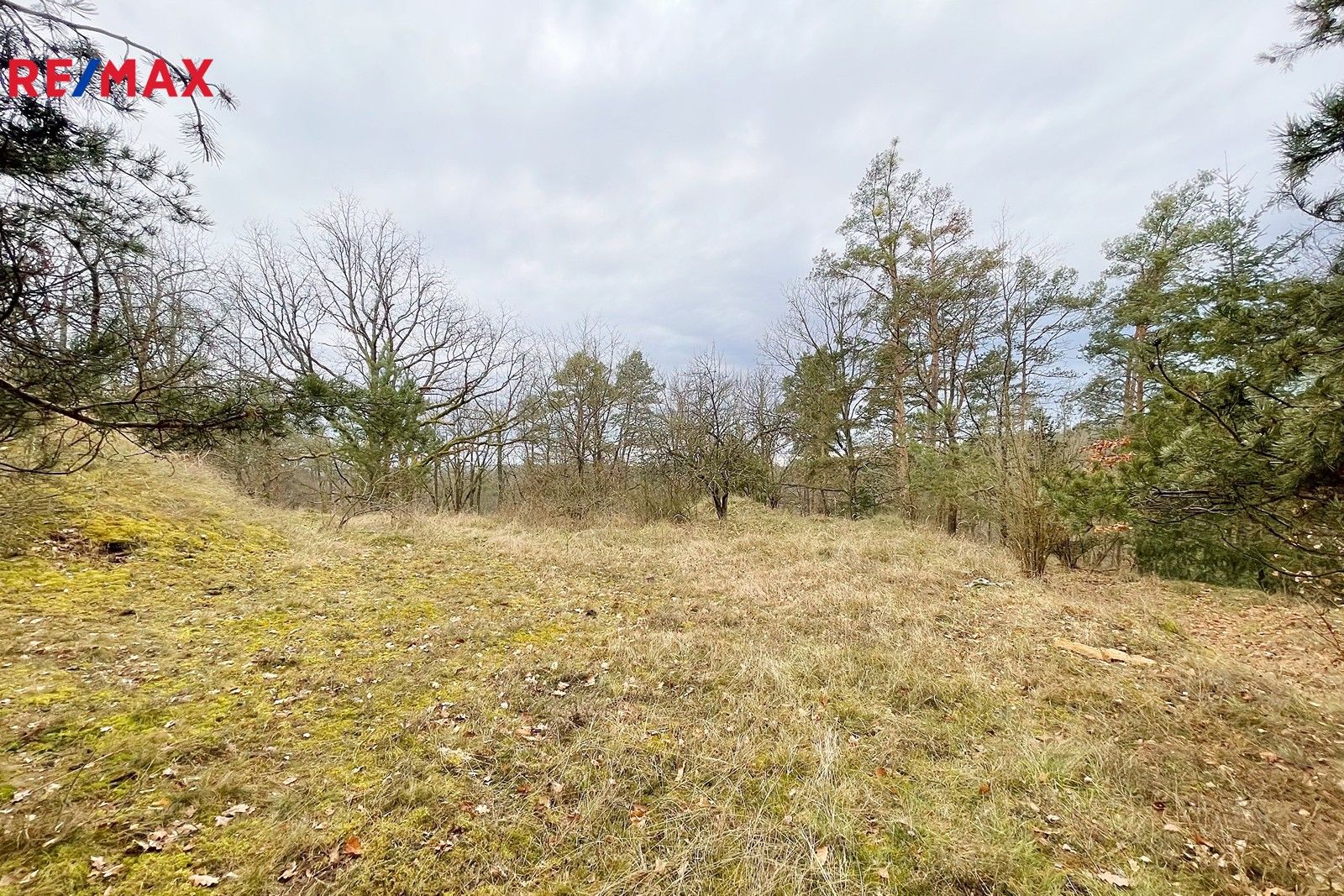 Prodej komerční pozemek - Zvíkovské Podhradí, 2 m²