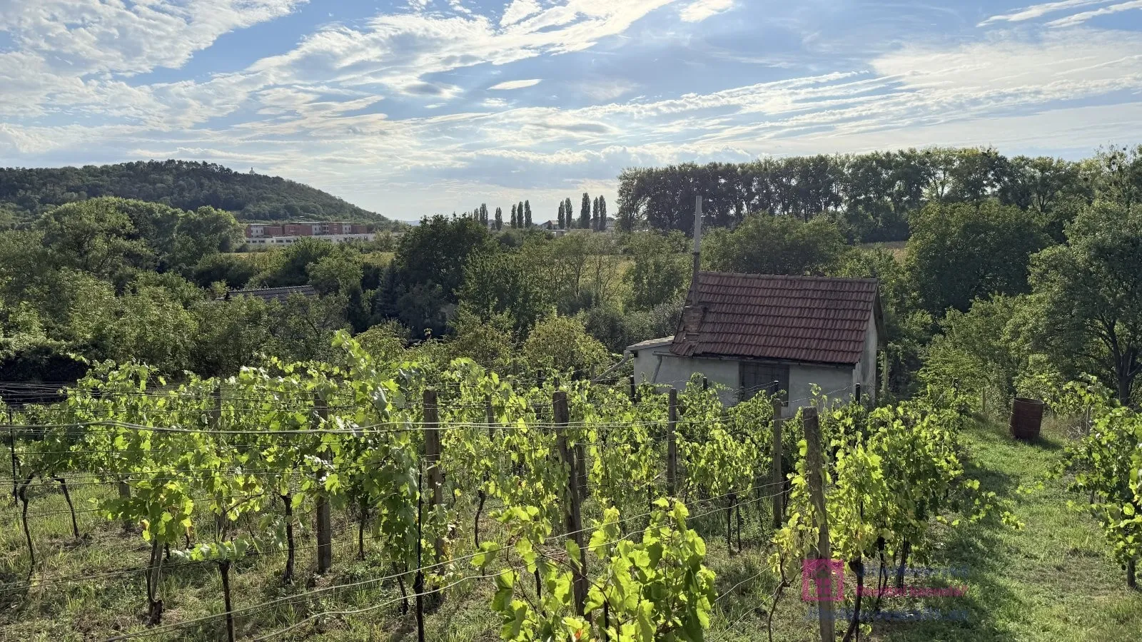 Ostatní