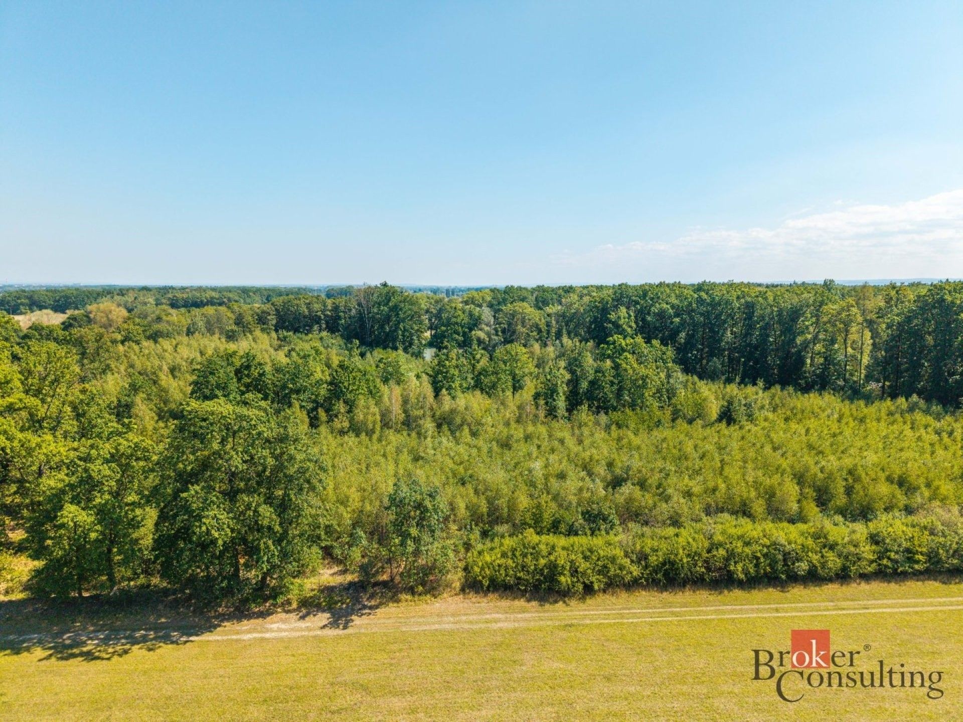 Prodej les - Pardubice-Staré Město, Pardubice, 37 347 m² - 2
