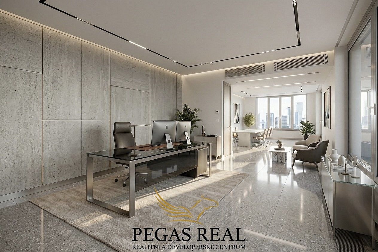 Prodej kancelář - Trnitá, Brno - Trnitá, 258 m² - 5