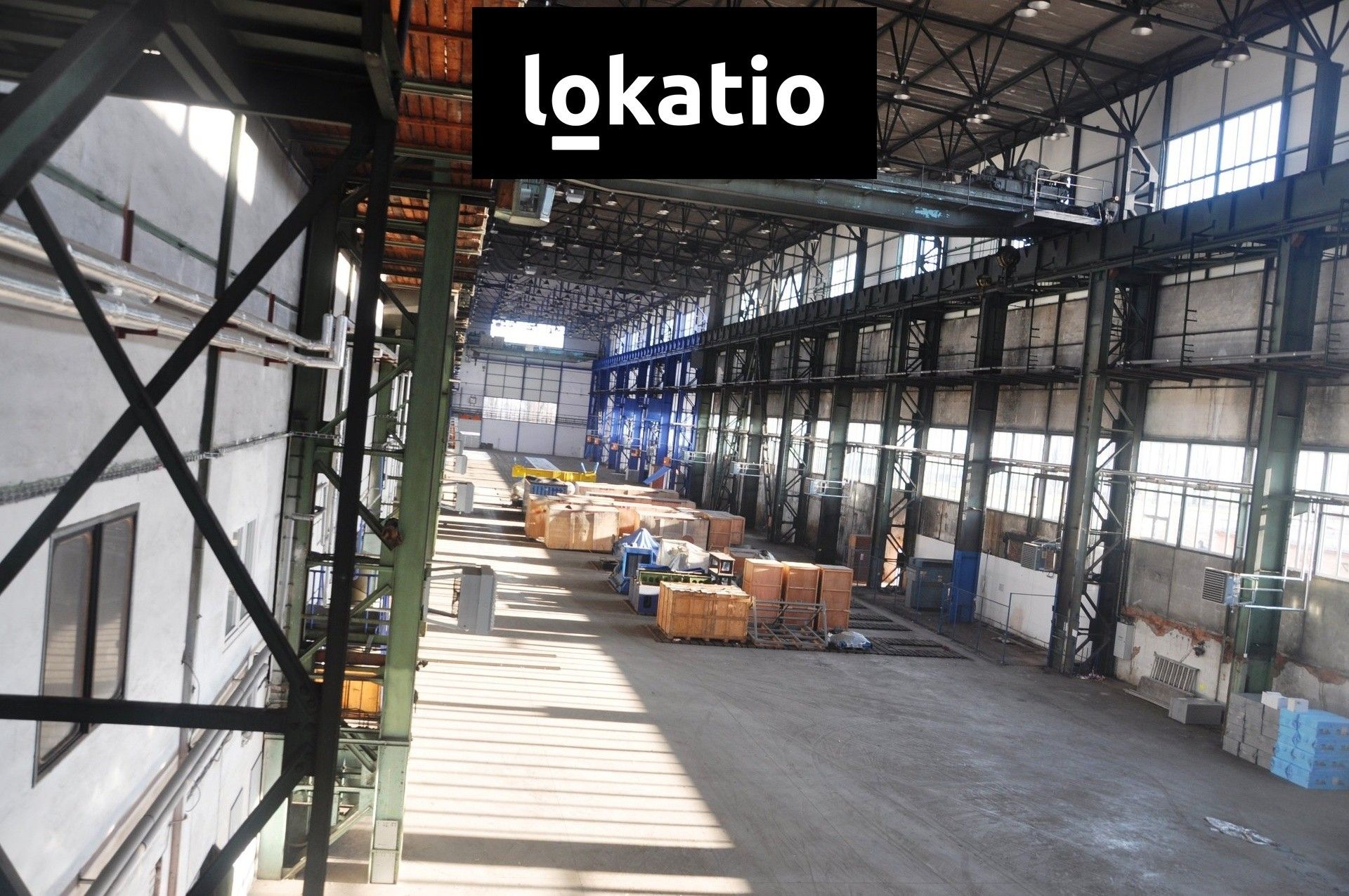 Pronájem sklad - Plotiště nad Labem, Hradec Králové, 5 000 m²