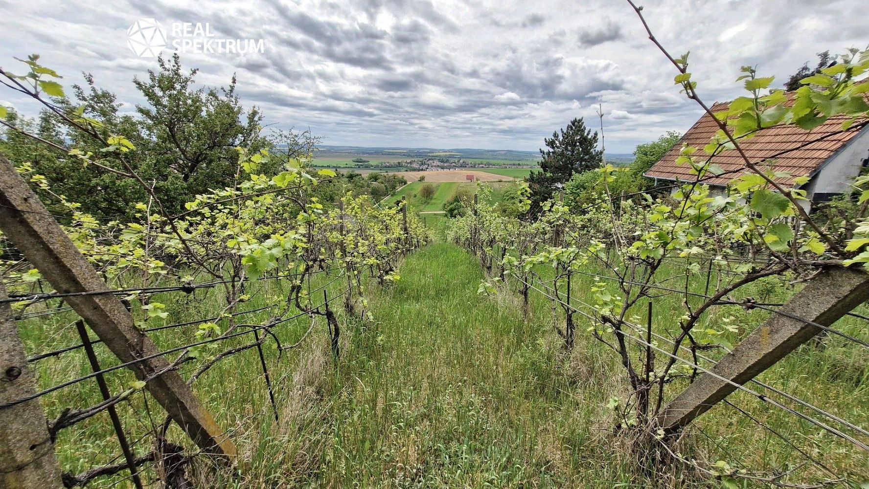 Prodej zahrada - Sivice, okres Brno-venkov - 5
