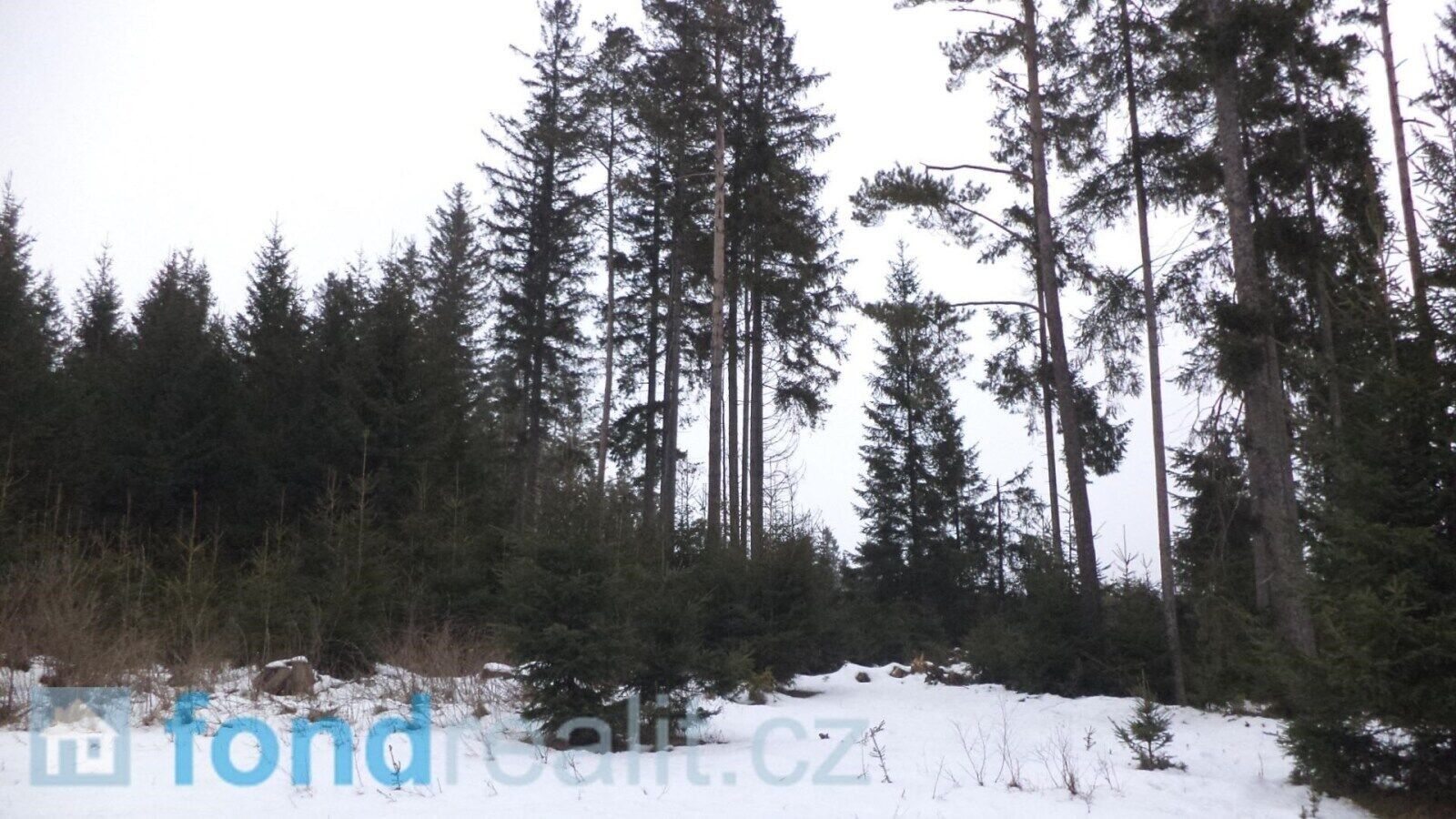 Prodej pozemek - Blato, Nová Bystřice, 19 m²