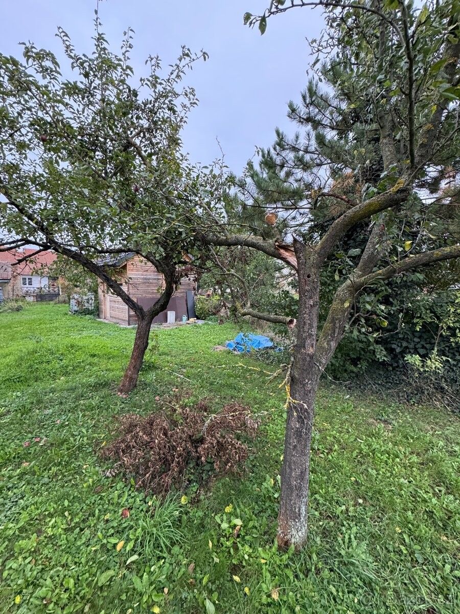 Pozemky pro bydlení, Křenovice u Slavkova, 683 52 - 1