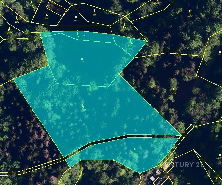Les · Morávka - 3