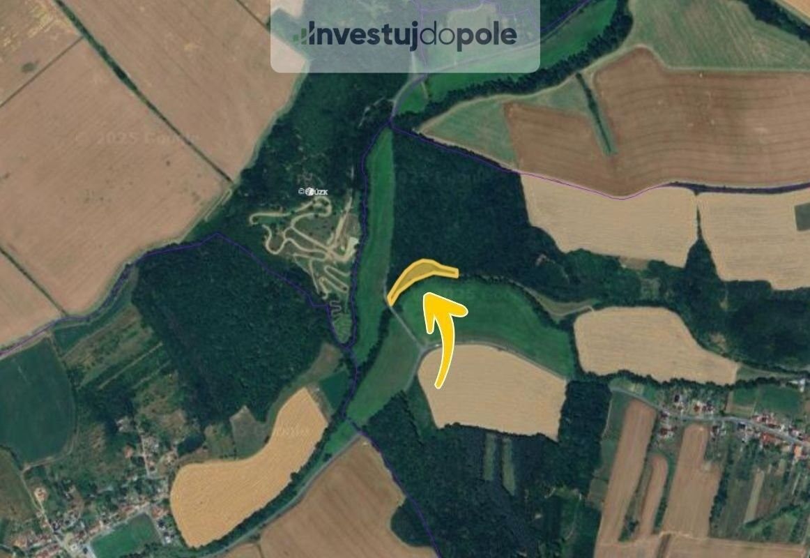 Prodej louka - Částkov, 2 698 m²