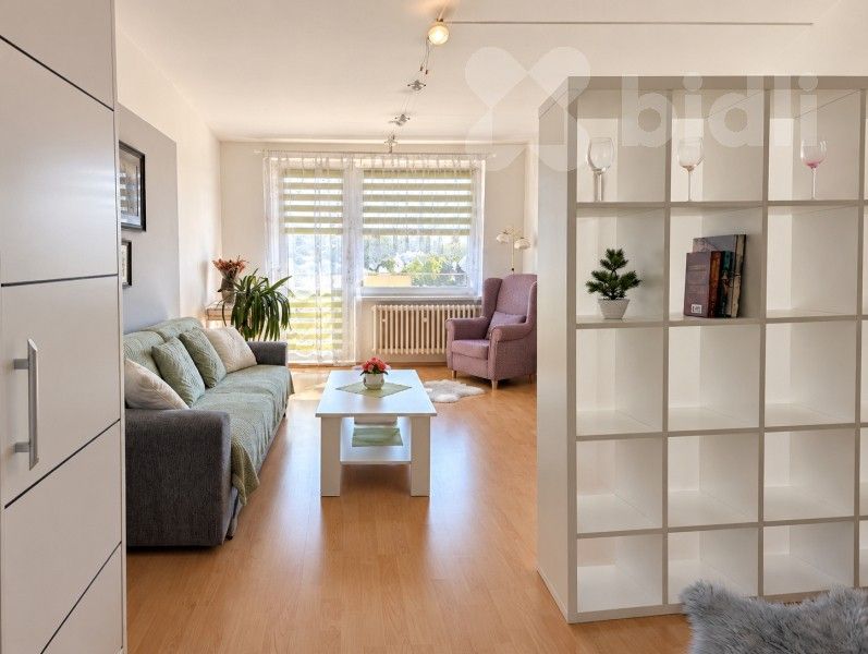 Byt 1+1 · 45 m² · U Střelnice 1622, Šternberk - 2