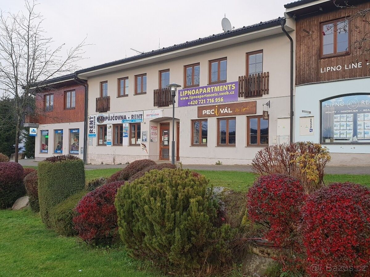 Obchodní prostory, Lipno nad Vltavou, 382 78 - 2