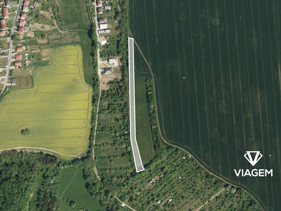 Stavební pozemek, Nedachlebice – pohled 3