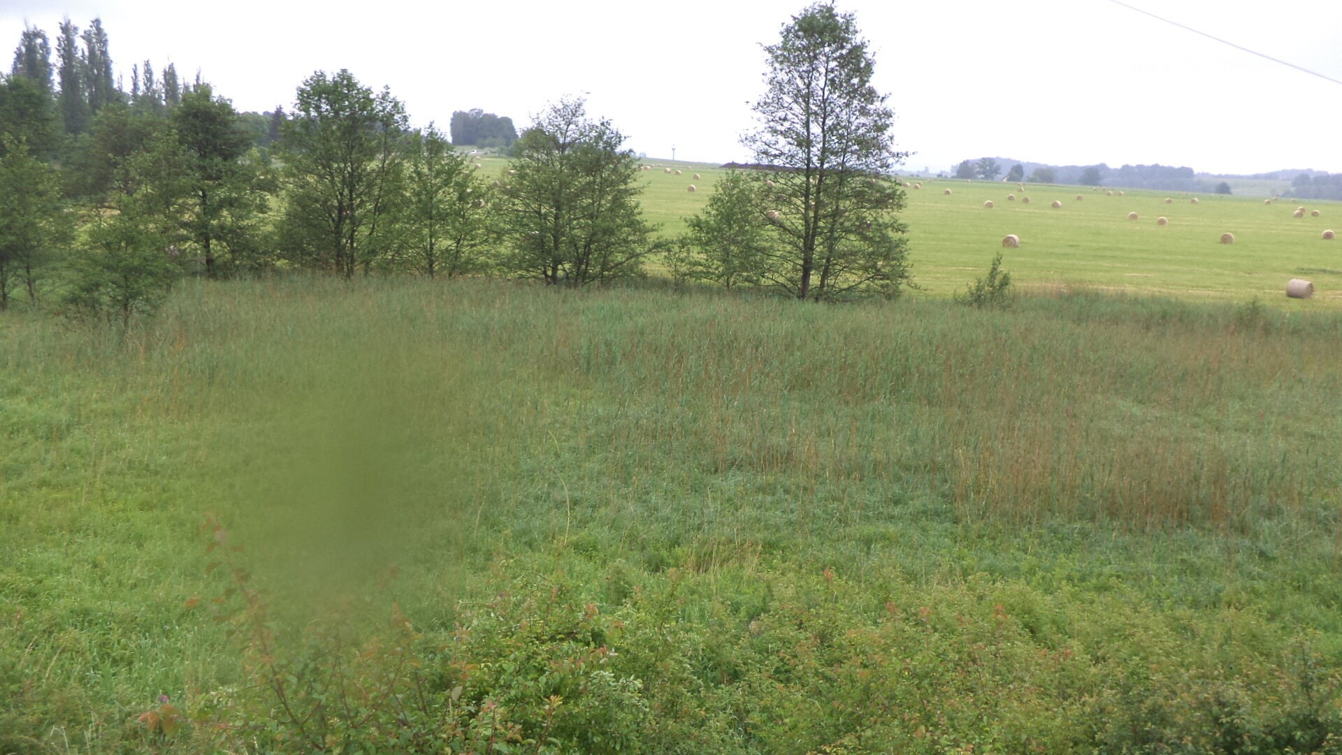 Zemědělský pozemek · 4 685 m² · Jablonné v Podještědí - 4