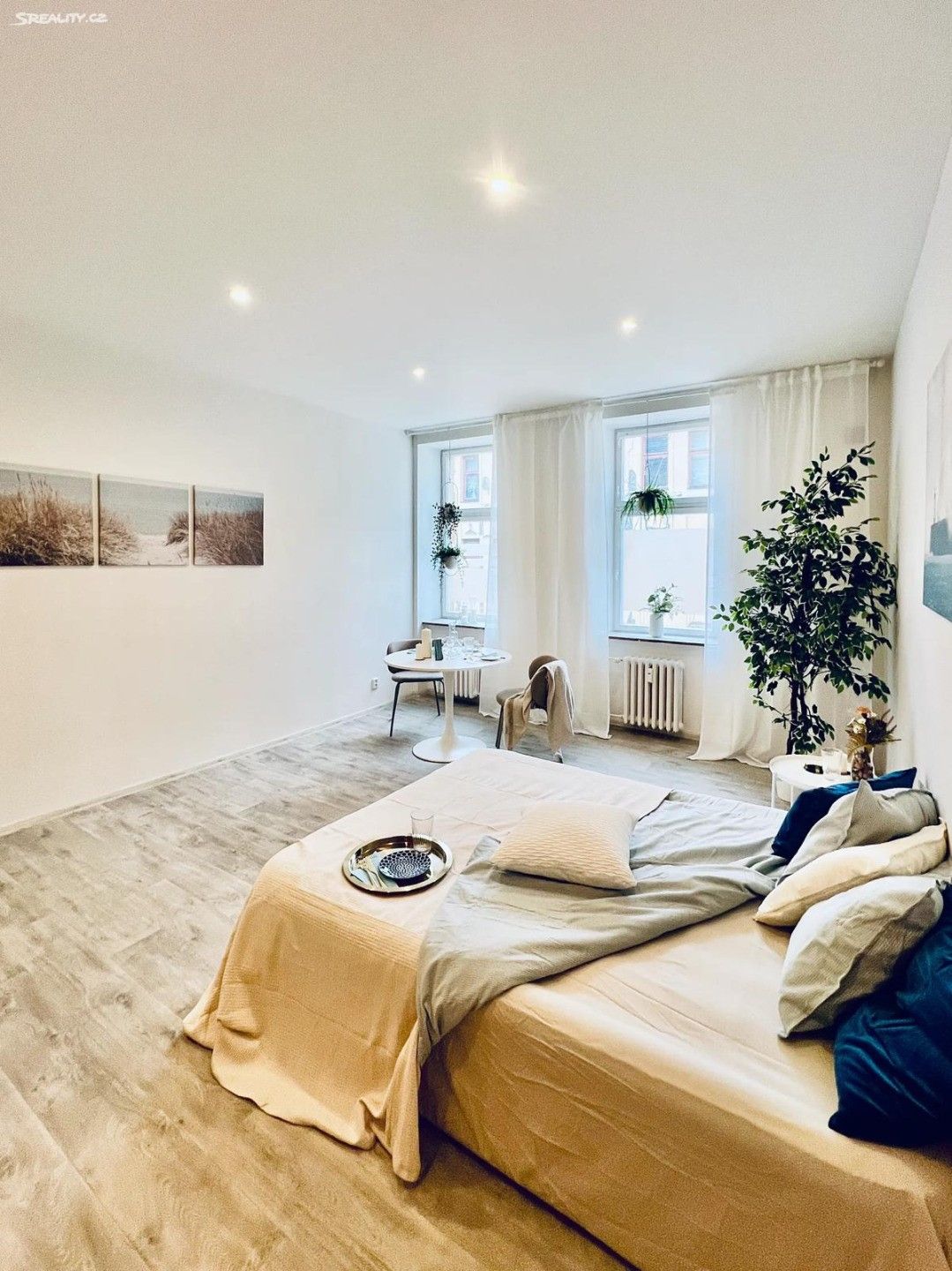 1+1, Antonínská, Brno, 38 m²