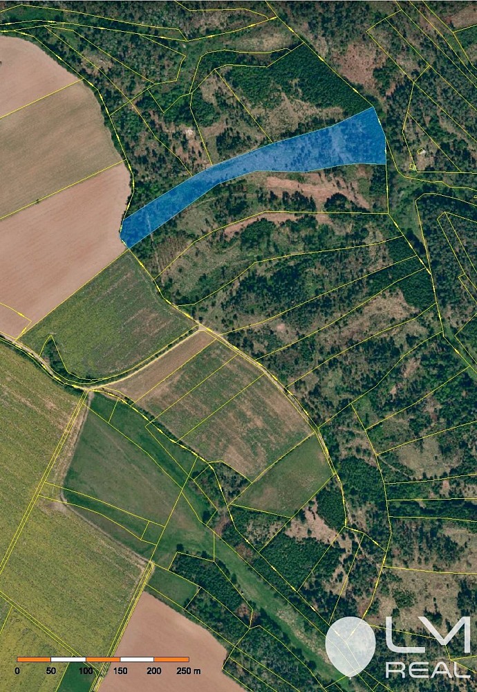 Prodej les - Čikov, okres Třebíč - 2