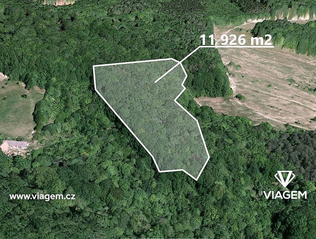 Lesy, Košíky, okres Uherské Hradiště, Zlínský kraj - 1