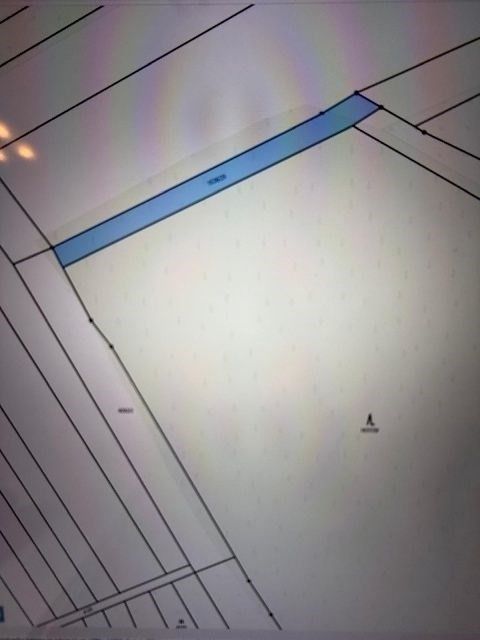 Prodej les - Březolupy