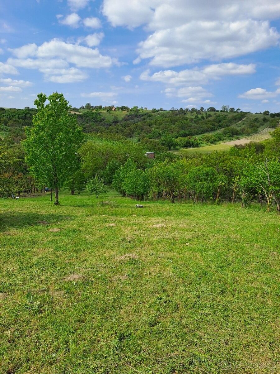 Pozemky pro bydlení, Hustopeče u Brna, 693 01 - 2