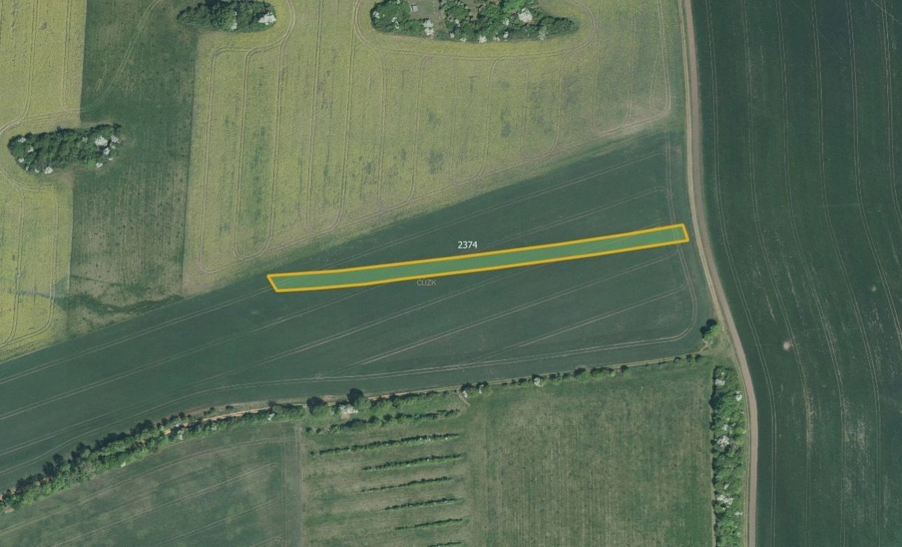 Prodej zemědělský pozemek - Roštín