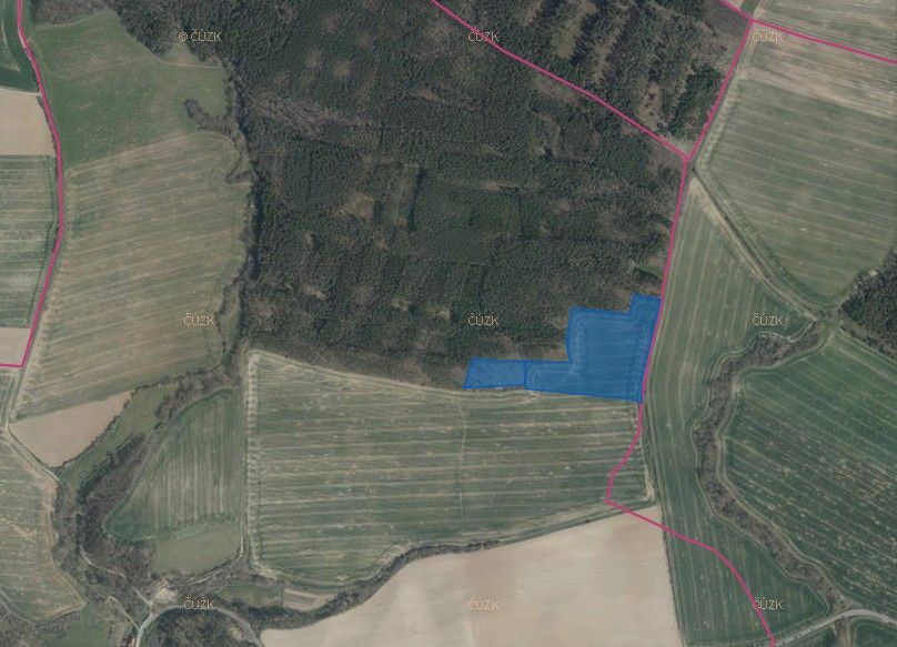 Prodej zemědělský pozemek - Kralovice, 331 41, 65 232 m²