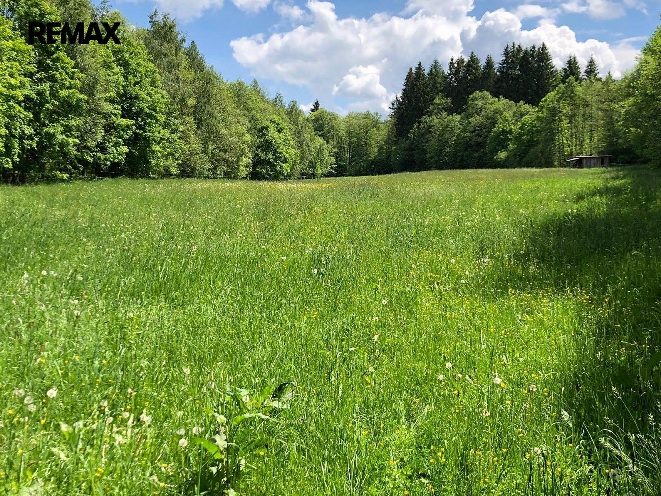 Louky, Strašín, okres Klatovy, Plzeňský kraj - 2