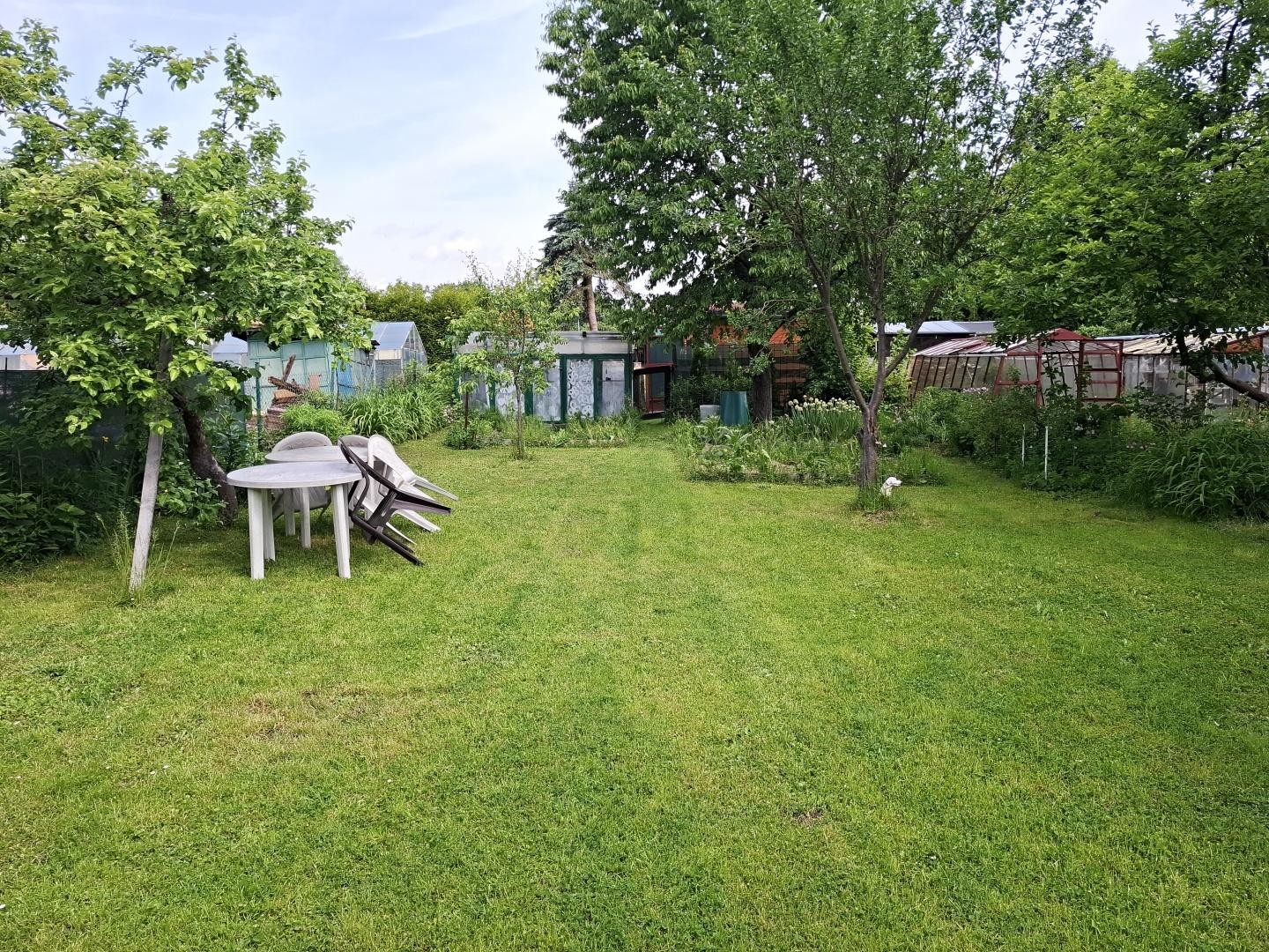 Zahrada · 257 m² · Zahradní, Chodov - 4