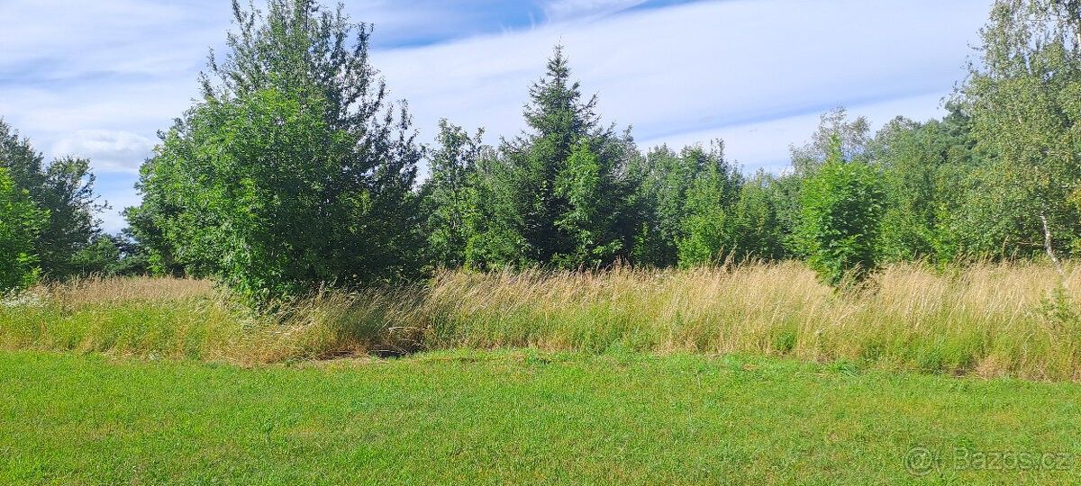 Prodej pozemek pro bydlení - České Velenice, 378 10