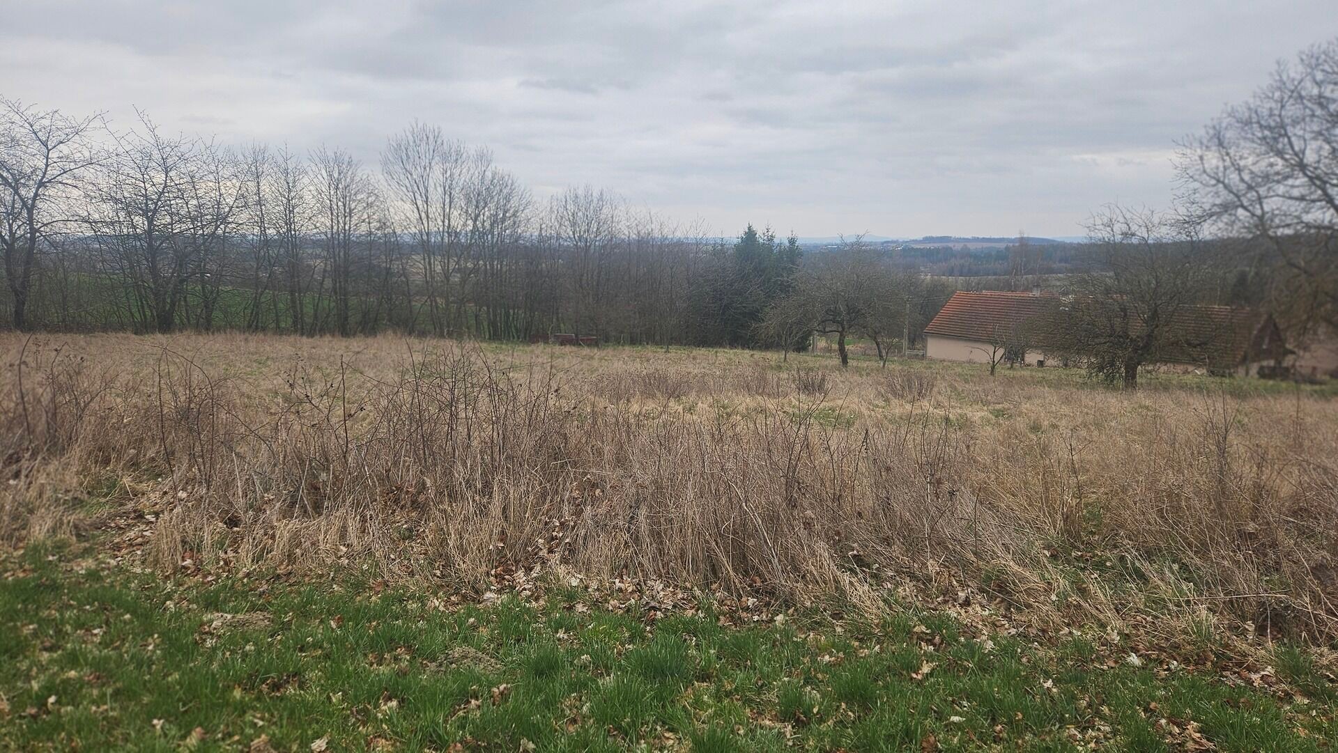 Pozemek pro bydlení · 5 329 m² · Mezno Stupčice - 3