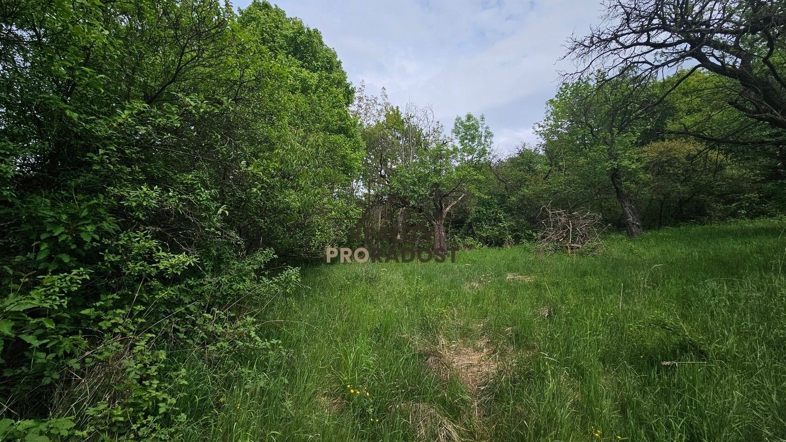 Prodej pozemek - Koryčany, 4 253 m² - 5