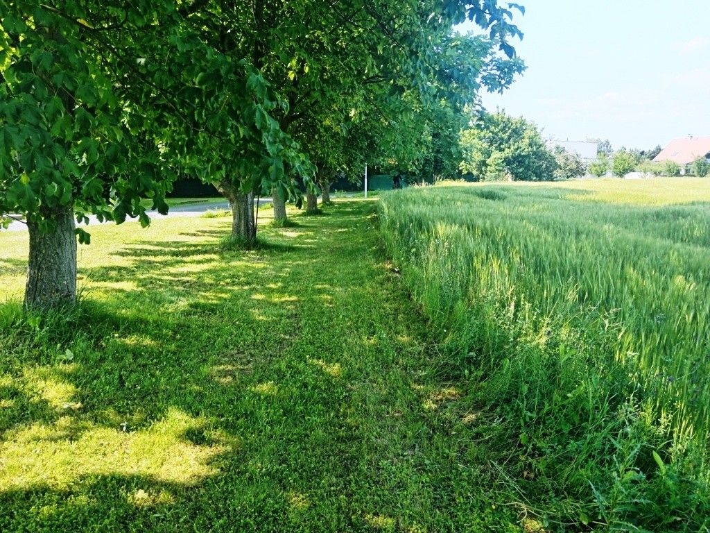 Rodinné domy, Uničov, 783 91