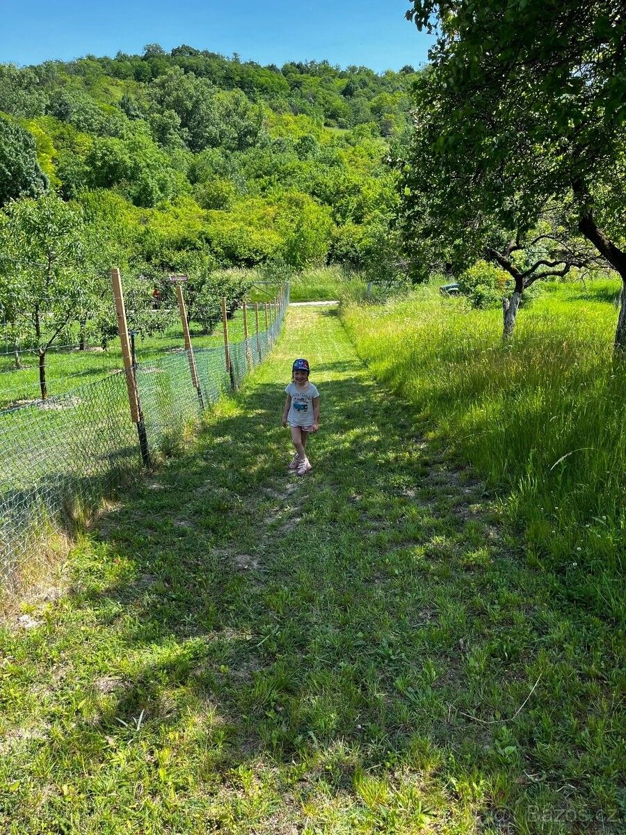 Prodej pozemek pro bydlení - Blučina, 664 56