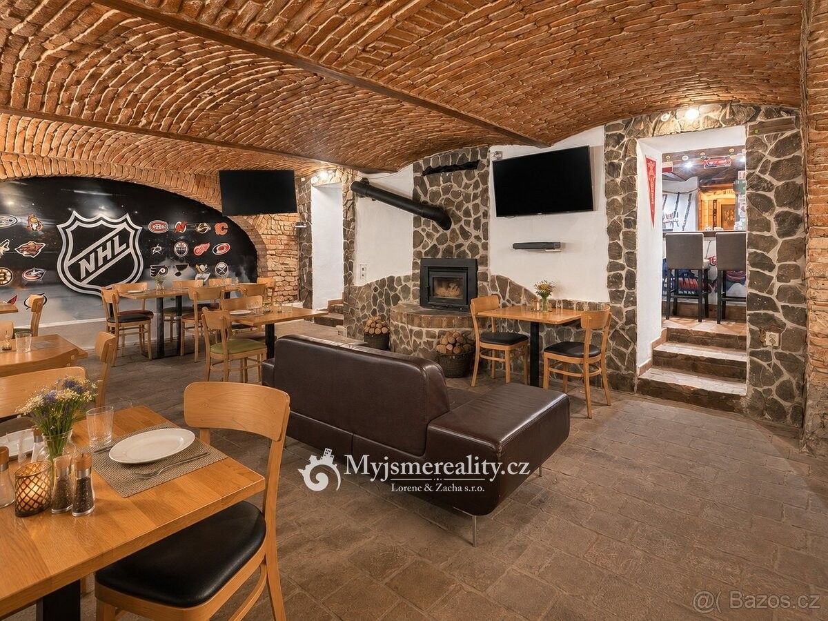 Prodej obchodní prostory - Znojmo, 669 02 - 5