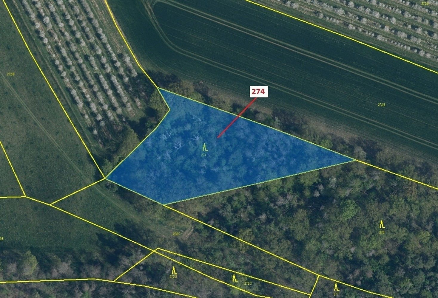 Prodej les - Spomyšl, okres Mělník, Středočeský kraj - 2