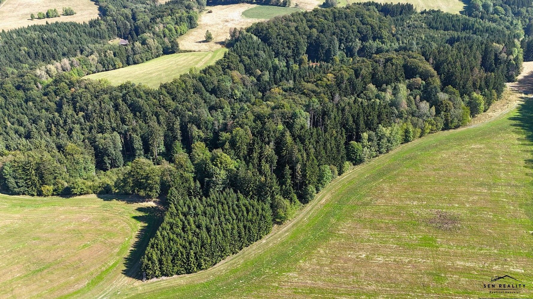 Lesy, Liberk, okres Rychnov nad Kněžnou - 2
