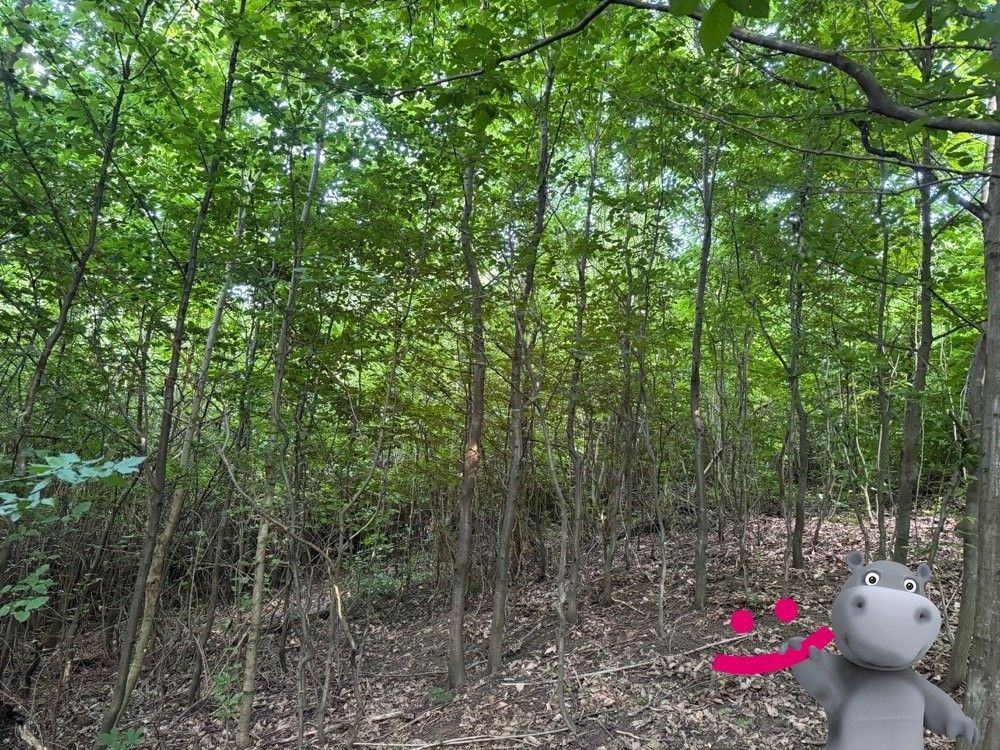 Prodej pozemek pro bydlení - Trnava u Zlína, 763 18