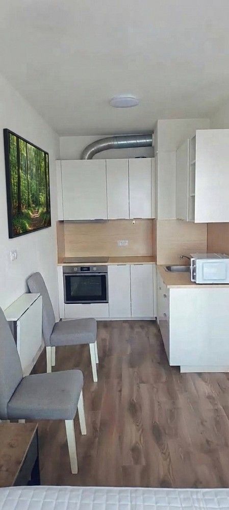 Pronájem byt 1+kk - Pecháčkova, Plzeň, 42 m² - 5