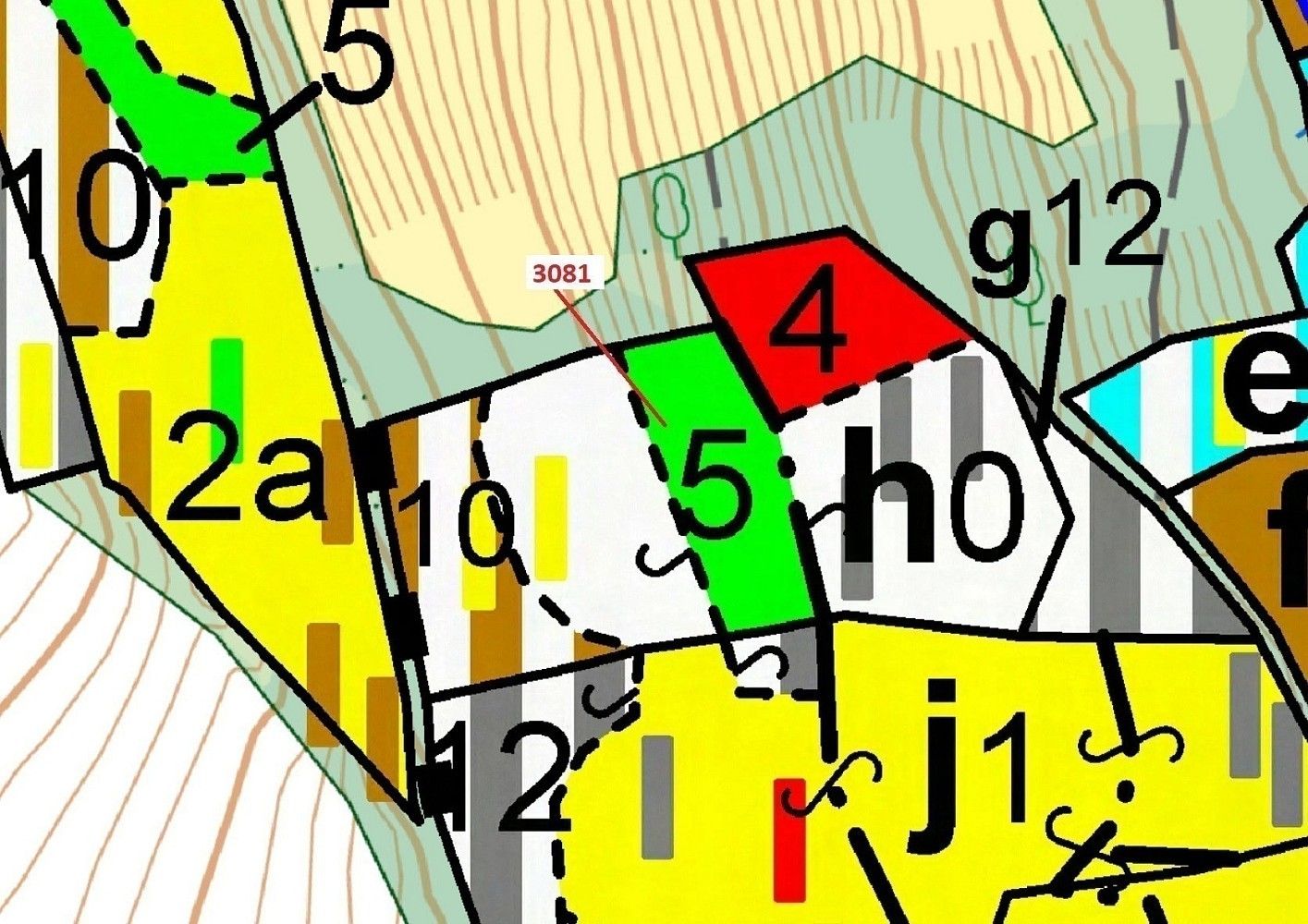 Les · Benešov u Semil, okres Semily, Liberecký kraj - 3